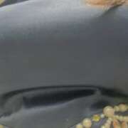 ヒメ日記 2025/08/27 14:35 投稿 ねお【魅力的な愛嬌と笑顔♡】 LIPS(リップス)