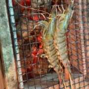 ヒメ日記 2025/11/10 22:05 投稿 ねお【魅力的な愛嬌と笑顔♡】 LIPS(リップス)