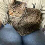 ヒメ日記 2025/11/15 09:02 投稿 ねお【魅力的な愛嬌と笑顔♡】 LIPS(リップス)