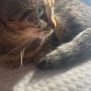 ヒメ日記 2025/11/26 11:06 投稿 ねお【魅力的な愛嬌と笑顔♡】 LIPS(リップス)