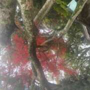 ヒメ日記 2025/12/16 22:09 投稿 ねお【魅力的な愛嬌と笑顔♡】 LIPS(リップス)