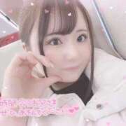 ヒメ日記 2025/02/14 13:23 投稿 せいら 敏感ツンツンHカップ L＆Jブラザーズ