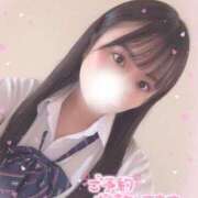 ヒメ日記 2025/04/22 11:50 投稿 せいら 敏感ツンツンHカップ L＆Jブラザーズ