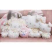 ヒメ日記 2024/12/18 12:50 投稿 てぃあ【伝説の他店ランカー】 STELLA TOKYO－ステラトウキョウ－