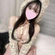 ヒメ日記 2025/02/15 14:00 投稿 てぃあ【伝説の他店ランカー】 STELLA TOKYO－ステラトウキョウ－