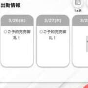 ヒメ日記 2025/03/27 12:42 投稿 てぃあ【伝説の他店ランカー】 STELLA TOKYO－ステラトウキョウ－