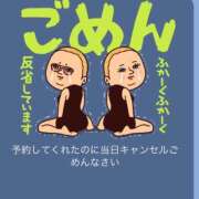 ヒメ日記 2025/04/12 17:16 投稿 てぃあ【伝説の他店ランカー】 STELLA TOKYO－ステラトウキョウ－