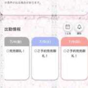 ヒメ日記 2025/07/04 11:35 投稿 てぃあ【伝説の他店ランカー】 STELLA TOKYO－ステラトウキョウ－