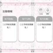 ヒメ日記 2025/09/11 14:43 投稿 てぃあ【伝説の他店ランカー】 STELLA TOKYO－ステラトウキョウ－