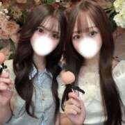 ヒメ日記 2025/09/27 16:47 投稿 てぃあ【伝説の他店ランカー】 STELLA TOKYO－ステラトウキョウ－