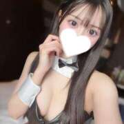 ヒメ日記 2026/02/08 20:03 投稿 てぃあ【伝説の他店ランカー】 STELLA TOKYO－ステラトウキョウ－