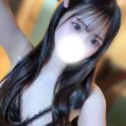 ヒメ日記 2026/03/31 14:38 投稿 てぃあ【伝説の他店ランカー】 STELLA TOKYO－ステラトウキョウ－