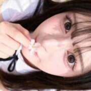 ヒメ日記 2026/04/18 15:19 投稿 てぃあ【伝説の他店ランカー】 STELLA TOKYO－ステラトウキョウ－