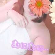 ヒメ日記 2025/12/20 00:34 投稿 サアヤ マドンナ(仙台)