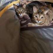 ヒメ日記 2025/01/17 13:01 投稿 青山 葵 Prae-tall-（プラエトール）