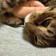 ヒメ日記 2025/07/21 16:30 投稿 青山 葵 Prae-tall-（プラエトール）