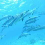 ヒメ日記 2025/08/06 18:15 投稿 青山 葵 Prae-tall-（プラエトール）