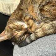 ヒメ日記 2025/11/11 23:15 投稿 青山 葵 Prae-tall-（プラエトール）