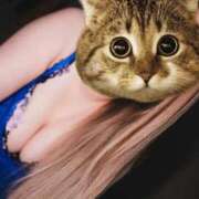 ヒメ日記 2025/11/29 09:45 投稿 青山 葵 Prae-tall-（プラエトール）