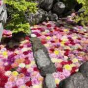 ヒメ日記 2025/12/08 16:35 投稿 ノン ドMな奥さん 日本橋店