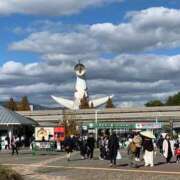 ヒメ日記 2025/12/19 17:36 投稿 ノン ドMな奥さん 日本橋店