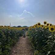 ヒメ日記 2024/12/24 22:19 投稿 しき メイドde本舗