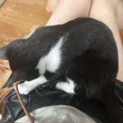 ヒメ日記 2025/01/28 12:16 投稿 しき メイドde本舗