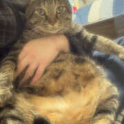 ヒメ日記 2025/01/29 15:22 投稿 しき メイドde本舗