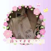 ヒメ日記 2025/01/31 10:05 投稿 しき メイドde本舗