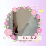 ヒメ日記 2025/02/04 00:31 投稿 しき メイドde本舗