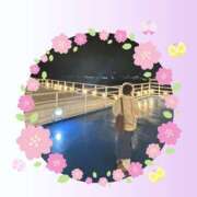 ヒメ日記 2025/03/13 19:33 投稿 しき メイドde本舗