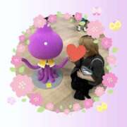 ヒメ日記 2025/05/27 14:22 投稿 しき メイドde本舗