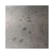 ヒメ日記 2025/01/18 13:14 投稿 麻倉 ねね マーベリック横浜