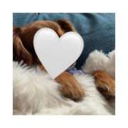 ヒメ日記 2025/01/24 09:34 投稿 麻倉 ねね マーベリック横浜