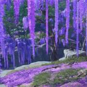 ヒメ日記 2025/05/20 21:44 投稿 麻倉 ねね マーベリック横浜