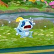 ヒメ日記 2025/05/22 18:44 投稿 麻倉 ねね マーベリック横浜