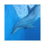 ヒメ日記 2025/06/29 21:44 投稿 麻倉 ねね マーベリック横浜