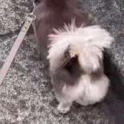 ヒメ日記 2025/07/17 18:54 投稿 麻倉 ねね マーベリック横浜