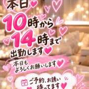 ヒメ日記 2026/10/08 09:08 投稿 響れな 熟女パラダイス岐阜店（カサブランカグループ）