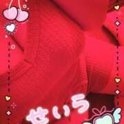 ヒメ日記 2025/09/29 13:27 投稿 せいら リッチドールフェミニン