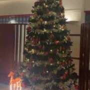 ヒメ日記 2024/12/16 18:00 投稿 まなみ すごいエステ仙台店