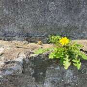 ヒメ日記 2025/04/28 15:30 投稿 まなみ すごいエステ仙台店