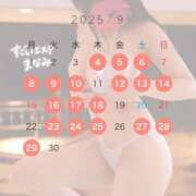 ヒメ日記 2025/09/02 08:00 投稿 まなみ すごいエステ仙台店