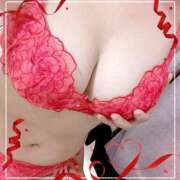 ヒメ日記 2025/02/23 20:20 投稿 みけ 奴隷コレクション