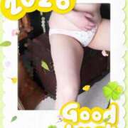 ヒメ日記 2026/04/20 11:33 投稿 ありさ 桃色奥様 松戸本店