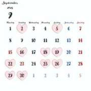 ヒメ日記 2025/09/02 15:06 投稿 南いちか プレジデントクラブ