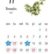 ヒメ日記 2025/11/09 09:27 投稿 南いちか プレジデントクラブ