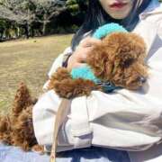 ヒメ日記 2025/04/19 10:00 投稿 宮野ゆい RISPA