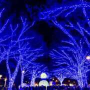 ヒメ日記 2025/12/13 10:00 投稿 宮野ゆい RISPA