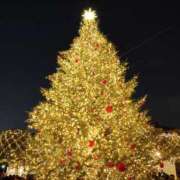 ヒメ日記 2025/12/20 09:00 投稿 宮野ゆい RISPA